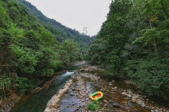 你能逃离此地吗